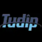 tudip